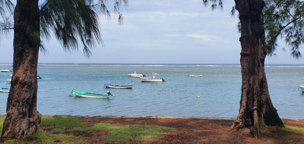 Tropical Love Étang-Salé les Bains エクステリア 写真